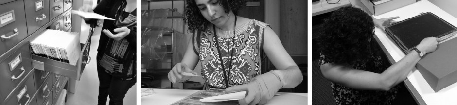 Surveying glass plates, cataloging and rehousing